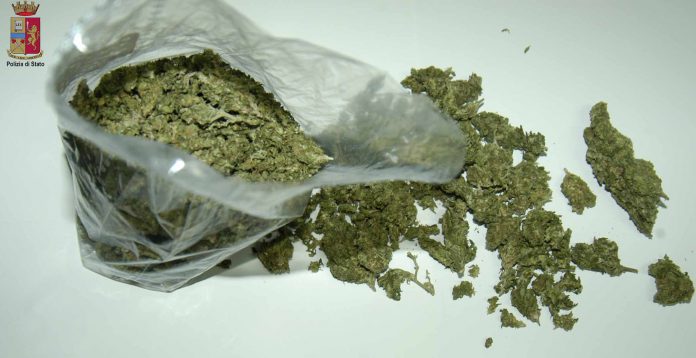 Marijuana