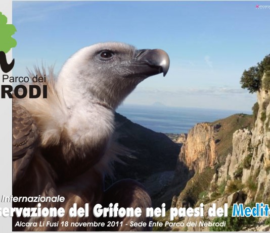 “LA CONSERVAZIONE DEL GRIFONE NEI PAESI DEL MEDITTERANEO”: WORKSHOP AD ALCARA LI FUSI
