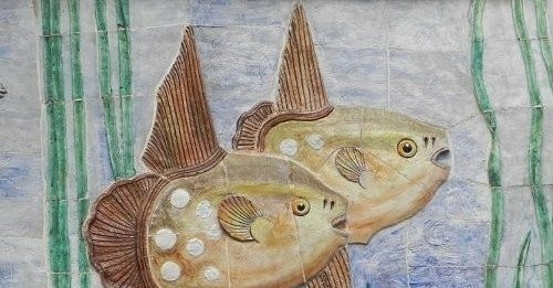 ACQUARIO CHIUSO DA LUNEDI’ 14: PREVISTA LA PULIZIA DELLE VASCHE