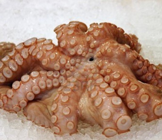 IL MAXISEQUESTRO BONAFFINI – CHIOFALO A RISCHIO PER LA “PRESUNTA”LENTEZZA DELLA MACCHINA GIUDIZIARIA