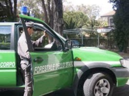 FORESTALI SENZA STIPENDIO: MERCOLEDI’ LA PROTESTA