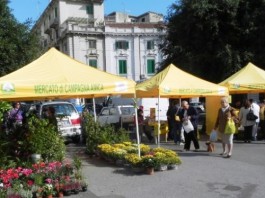 ASSEMBLEA CITTADINA A PIAZZA DEL POPOLO, PER DIRE NO AL MERCATO