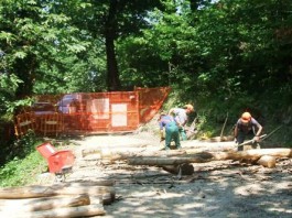 AAA: CERCASI LAVORATORI FORESTALI, DA DOMANI LE RICHIESTE AGLI UFFICI DI COLLOCAMENTO