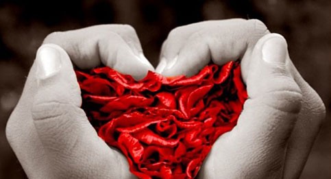 LA SCELTA DI DONARE GLI ORGANI: ANCORA UN ESPIANTO AL POLICLINICO