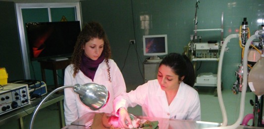 NASCE IL PRIMO OSPEDALE DIDATTICO VETERINARIO: 600 MILA EURO STANZIATI PER OPERARE H24