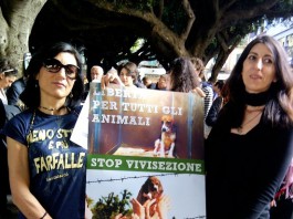 MESSINA SALVA I BEAGLE: 1300 FIRME RACCOLTE CONTRO LA VIVISEZIONE, FIACCOLATA A PIAZZA CAIROLI
