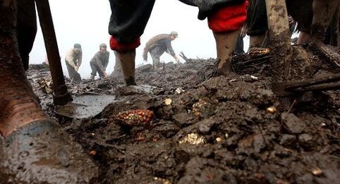 ALLUVIONE DI MESSINA: 18 I RINVIATI A GIUDIZIO, TRA CUI IL SINDACO BUZZANCA