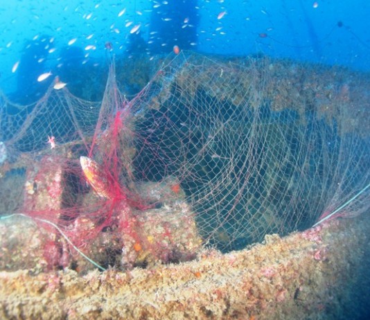 AMBIENTE: L’SOS DEI SUB DI ECOSFERA, “ NEL RELITTO VALFIORITA RETE DA PESCA NONOSTANTE IL VINCOLO”