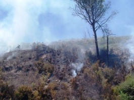 FIAMME A CAMPO ITALIA: OLTRE 2 MILA ETTARI IN FUMO, L’INTERVENTO DEL CORPO FORESTALE (GALLERY)