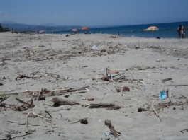 COMITATO SOS MARE: “NECESSARIA PULIZIA SPIAGGE DI GIAMPILIERI E BRIGA MARINA”