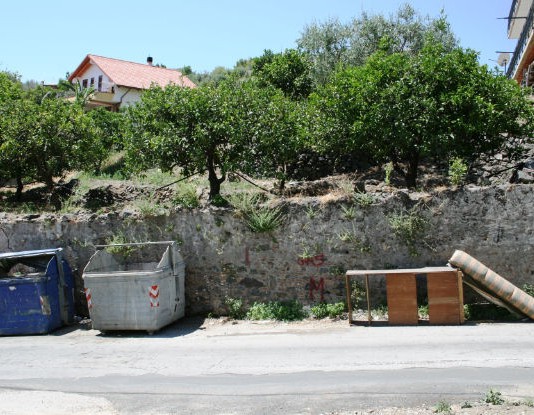 ZAFFERIA NEL DEGRADO TOTALE: L’ALLARME DI GIAMPIERO TERRANOVA (GALLERY)