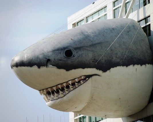 FERROVIE E SQUALI : I TRASPORTI NEL PRECIPIZIO DELLA POLITICA