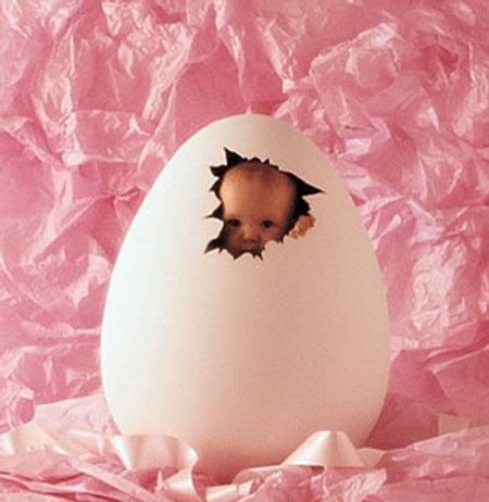 FIOCCO ROSA PER IL NOSTRO NEONONNO CICCIO MANZO