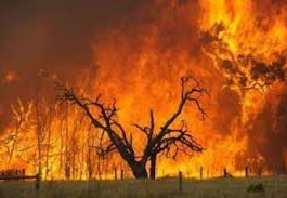 “E INTANTO MESSINA BRUCIA INTORNO A NOI…”