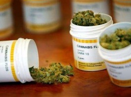 CANNABIS TERAPEUTICA IN SICILIA: APPELLO DI RADICALI E ASCIA AI CANDIDATI ALLA PRESIDENZA DELLA REGIONE