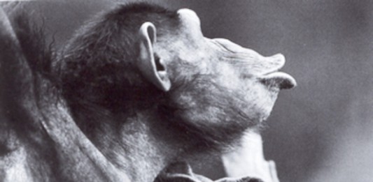 ARS, ARDIZZONE E CANCELLIERI: LA POLITICA AL BACIO