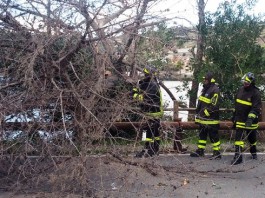 MALTEMPO: FORTI RAFFICHE DI VENTO, EOLIE SENZA COLLEGAMENTI, A GANZIRRI ALBERI DIVELTI