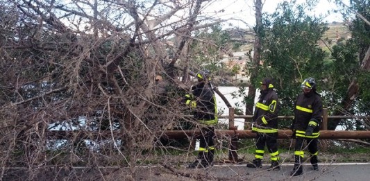 MALTEMPO: FORTI RAFFICHE DI VENTO, EOLIE SENZA COLLEGAMENTI, A GANZIRRI ALBERI DIVELTI
