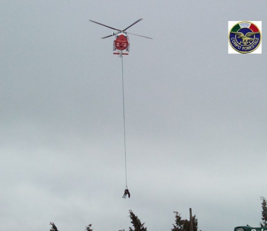 FLORESTA, VIGILI DEL FUOCO E FORESTALE SALVANO UN CAVALLO FERITO