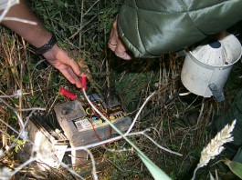 OPERAZIONE ANTIBRACCONAGGIO SUI NEBRODI: SEQUESTRATI RICHIAMI PER QUAGLIE