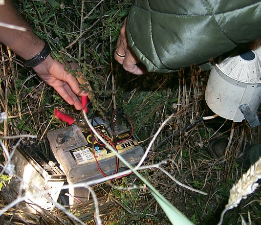 OPERAZIONE ANTIBRACCONAGGIO SUI NEBRODI: SEQUESTRATI RICHIAMI PER QUAGLIE