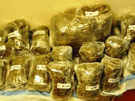 SEQUESTRATI OLTRE 26KG DI MARJIUANA: TRE GIOVANI INCENSURATI ARRESTATI A GRAVITELLI