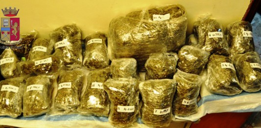 SEQUESTRATI OLTRE 26KG DI MARJIUANA: TRE GIOVANI INCENSURATI ARRESTATI A GRAVITELLI