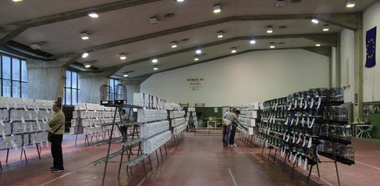 MOSTRA ORNITOLOGICA A VILLA DANTE: PREMIATI GLI ESEMPLARI DI ECCELLENZA