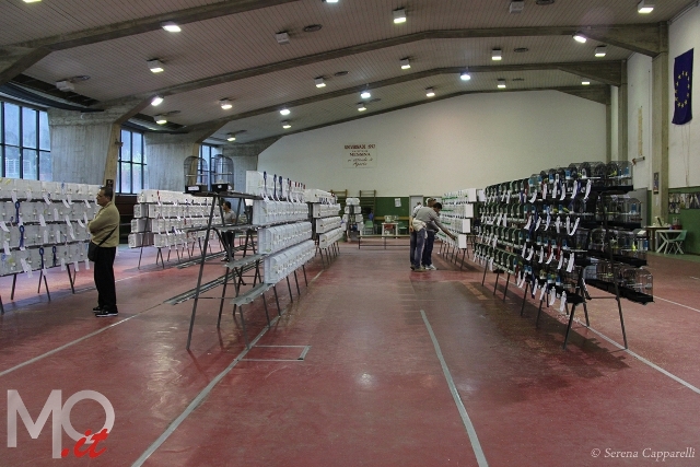 Mostra Ornitologica Villa DAnte