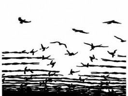 Fascimo e ambiguità, dal cinema alla realtà è un passo