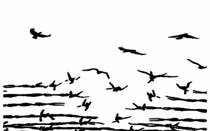 Razzismo alla barcellonese