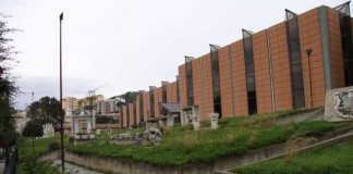 Più Europa Sicilia chiede le dimissioni della direttrice del Museo di Messina