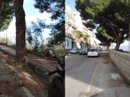 RADICI PERICOLOSE: L’EMERGENZA PASSA AL VAGLIO DEL CONSIGLIO, LE PROPOSTE DELLE COMMISSIONI