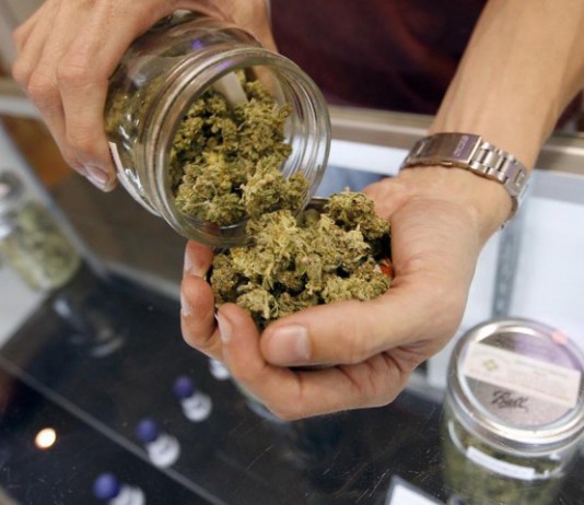 Cannabis light: “effetto Salvini” a Giardini Naxos, denunciato un tabaccaio