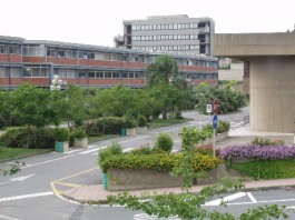 CHIUSURA CDL MAGISTRALE INGEGNERIA ELETTRONICA, PRO E CONTRO. MA NON CI LAMENTIAMO DELLA FUGA DI CERVELLI