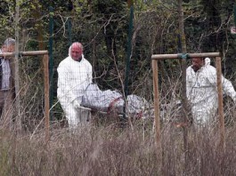 SEGRATE: UCCIDE IL SOCIO, LA MOGLIE E SI SUICIDA ASSASSINO E VITTIMA ERANO SICILIANI, DI CATANIA E MESSINA