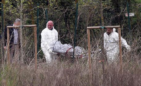 Imprenditore uccide collega,propria moglie e si toglie vita