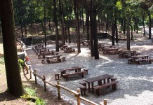 IMPICCATO SUI COLLI SARRIZZO: TRAGICA FINE PER UN 24ENNE