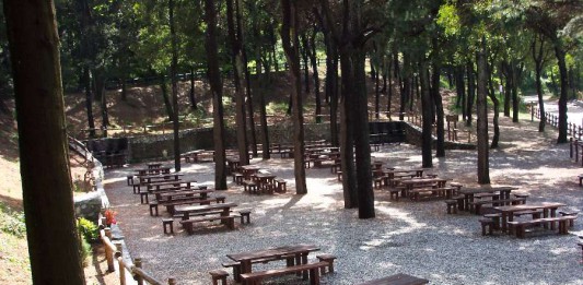 IMPICCATO SUI COLLI SARRIZZO: TRAGICA FINE PER UN 24ENNE