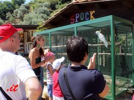 ANCH’IO SONO AUTISTICO, RAGAZZI SUL TRENINO TURISTICO. PARTENZA IN PIAZZA DUOMO