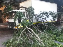 VIA TOMMASO CANNIZZARO: CADE UN RAMO, DANNEGGIATO FURGONE