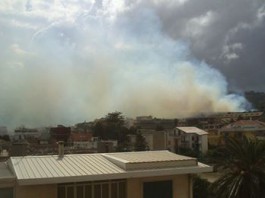 CADUTA RAMI E INCENDI, I QUARTIERI INVOCANO INTERVENTI DI SCERBATURA E POTATURA