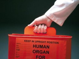 DONAZIONE ORGANI: ESPIANTO DI FEGATO, DAL POLICLINICO A PALERMO PER RIACCENDERE LA SPERANZA