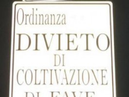 ALL’ANNUNZIATA NUOVO CASO DI FAVISMO, INTERESSATO UN BAMBINO DELLA SCUOLA MATERNA
