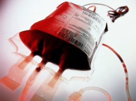 E’ EMERGENZA SANGUE. UN GRUPPO DI VOLONTARI TALASSEMICI SCENDE IN PIAZZA: “INDIFFERENZA TOTALE”