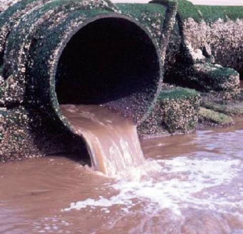 Emergenza fognaria a Bisconte: i residenti costretti a “spalare fogna” nelle loro case