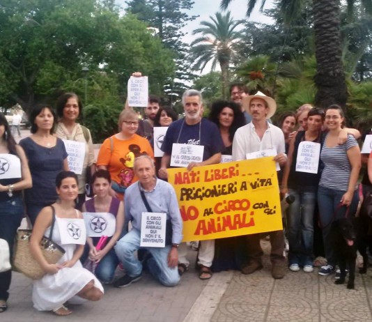 CIRCO ACQUATICO E’ GIALLO SULL’AUTORIZZAZIONE ALL’ATTENDAMENTO. LEAL CHIEDE INTERVENTI URGENTI MA I CONTROLLI NON DECOLLANO