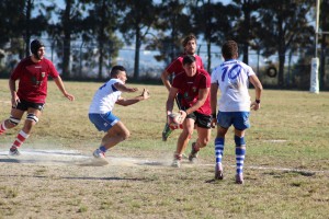 rugby amatori