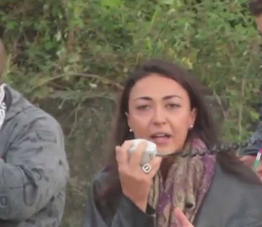 I voucher del Movimento 5 Stelle per l’assistenza igienico sanitaria agli studenti disabili