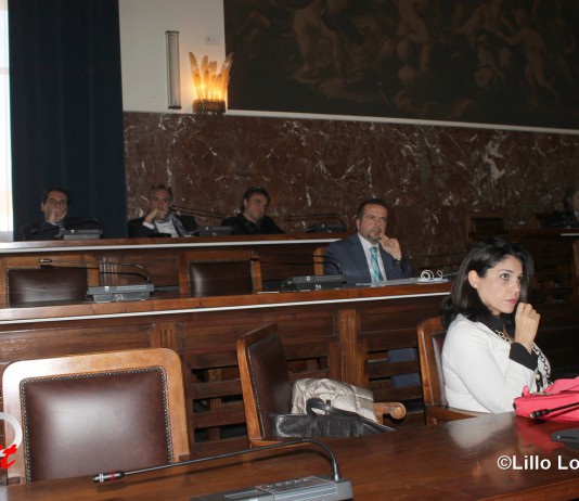 “Quadri lesivi dignità dei messinesi in Consiglio comunale”: associazioni e studiosi chiedono rimozione